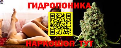 спиды Краснознаменск
