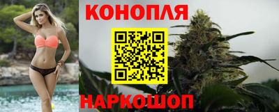 гашик Краснодар